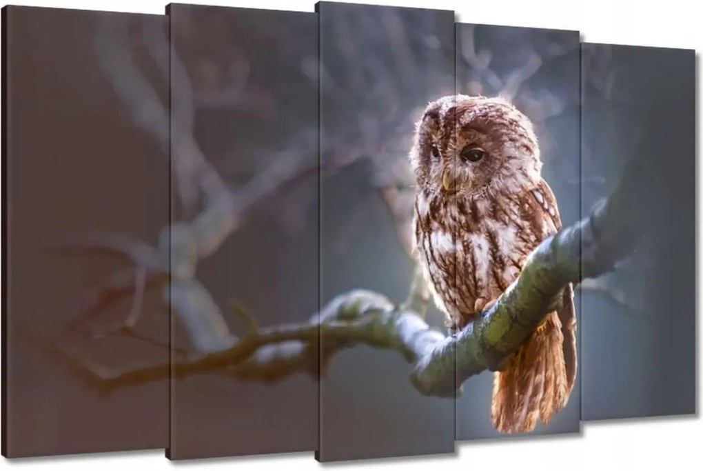 Vászonkép 150x95 Bagoly az ágon Ragadozó