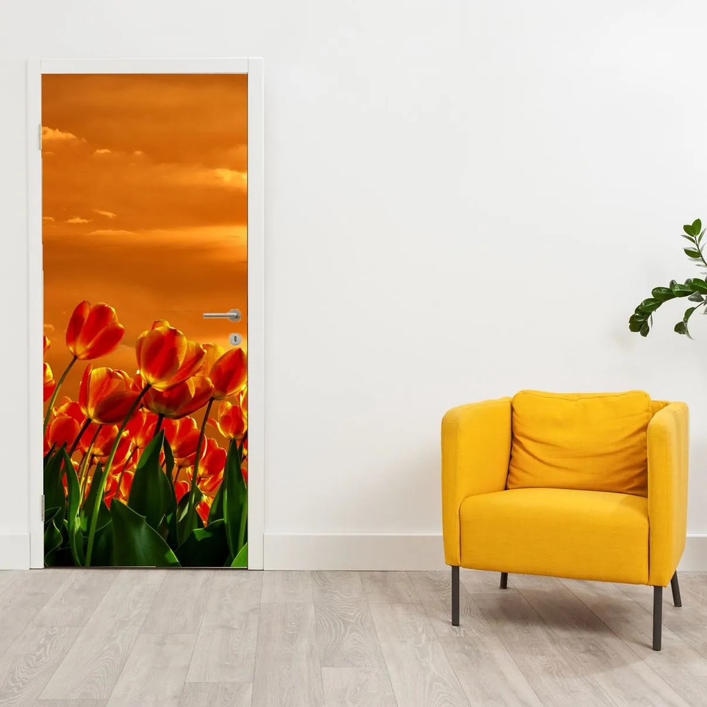 Fotótapéta ajtóra - Virágzó mező tulipánokkal (95x205cm)