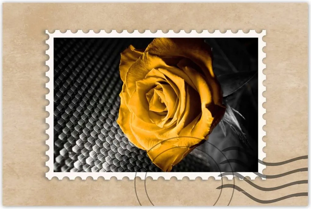 Poszterek 90x60 Sárga rózsa