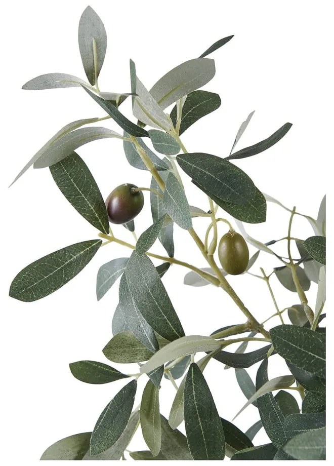 Olajfa műnövény (magasság 61 cm) – House Nordic