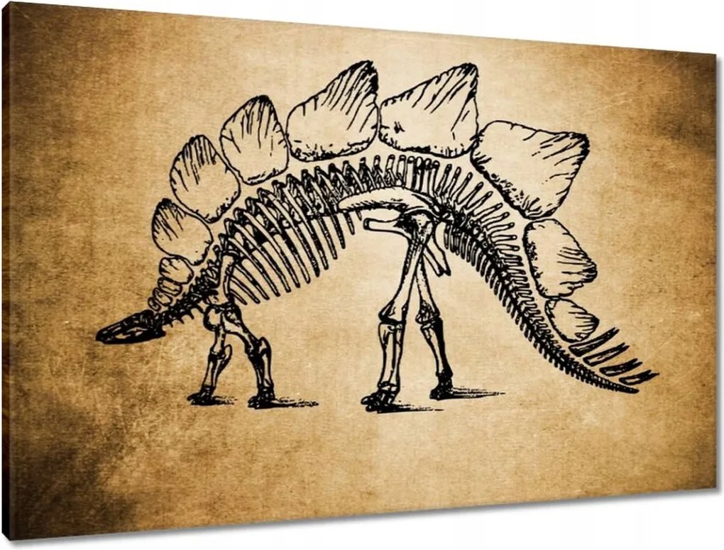 Vászonkép 90x60 Dinoszaurusz őstörténet Dino