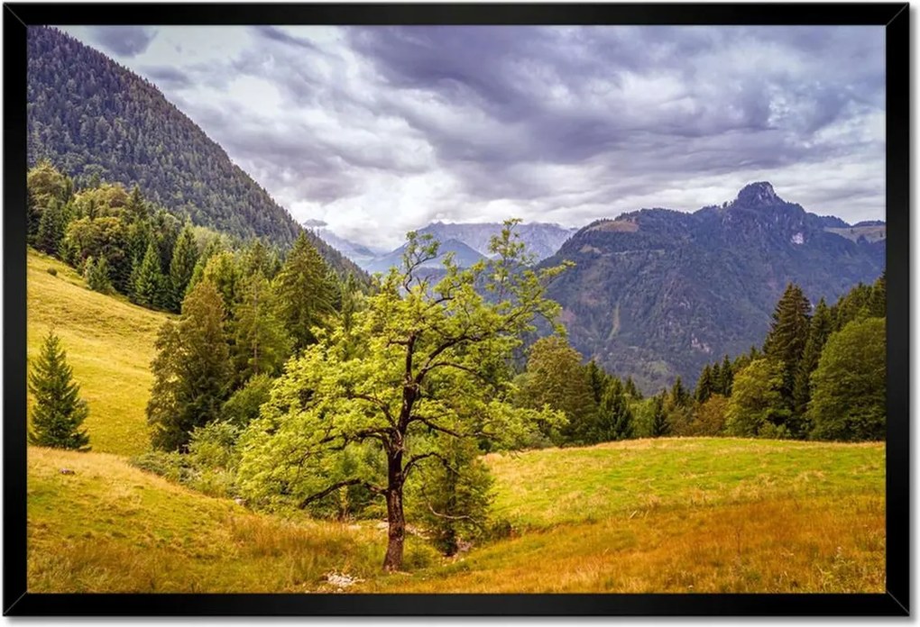 Poszterek keretben 60x40 Fa az égig