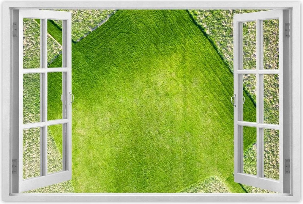 Poszterek 60x40 Fű mező rét út