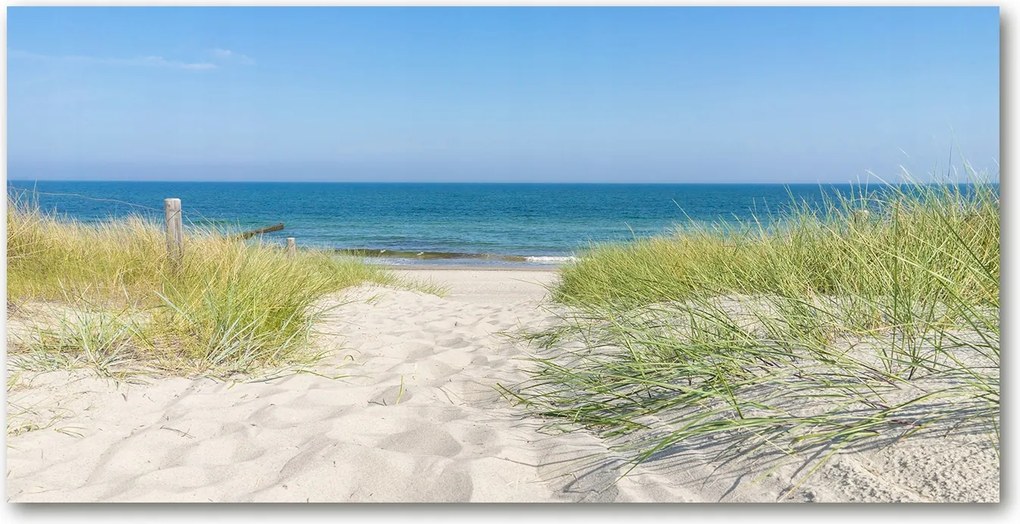 Konyhai panel Tengerparti dűnék 140x70 cm Ragasztó