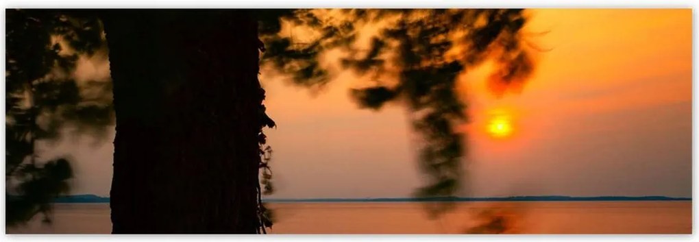 Poszterek 200x66 Fa Napnyugta