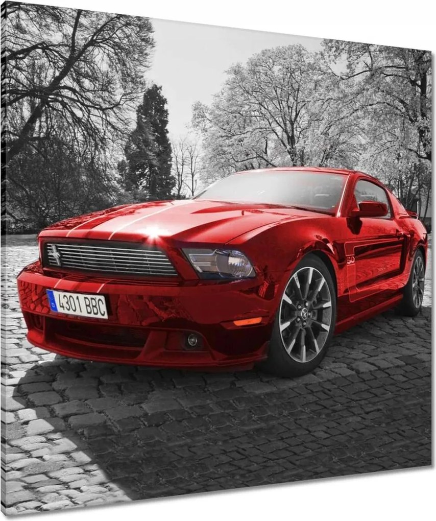 Vászonkép 80x80 Piros Mustang