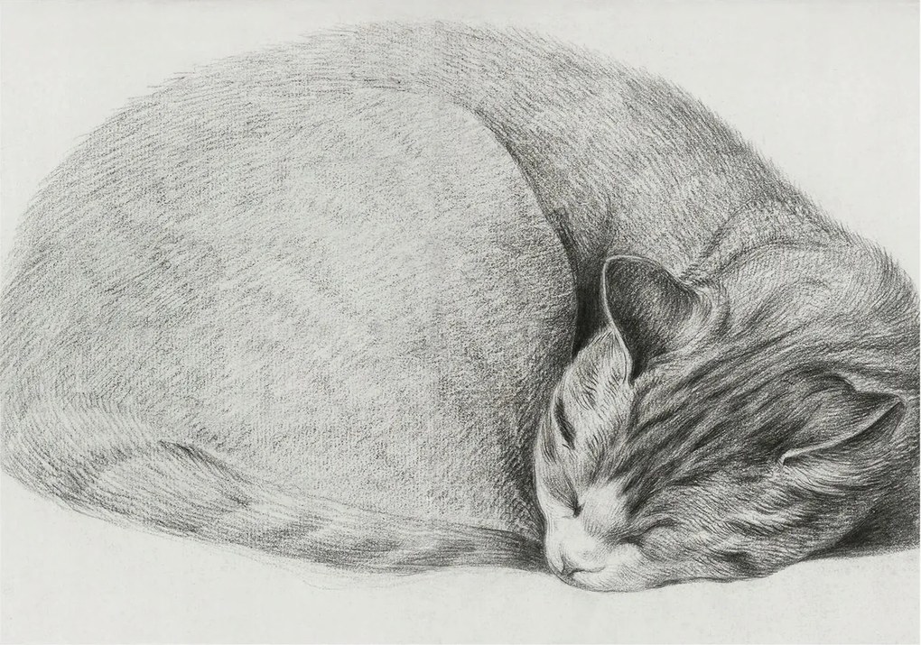 Divatos Flizelin Tapéta Ragasztóval Fali 3D Összecsukható macska 312x219 Ragasztó