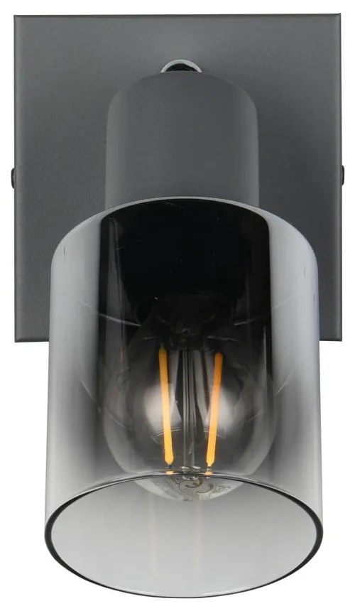 Antracitszürke spotlámpa ø 7 cm Cadiz – Trio