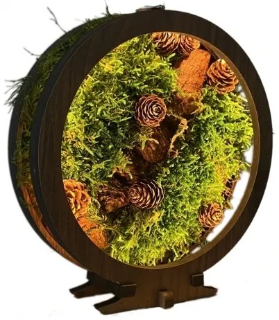 Li-Go 23654 - LED fényerőszabályozható asztali dekoráció LED/12W/230V 20x22 cm moha