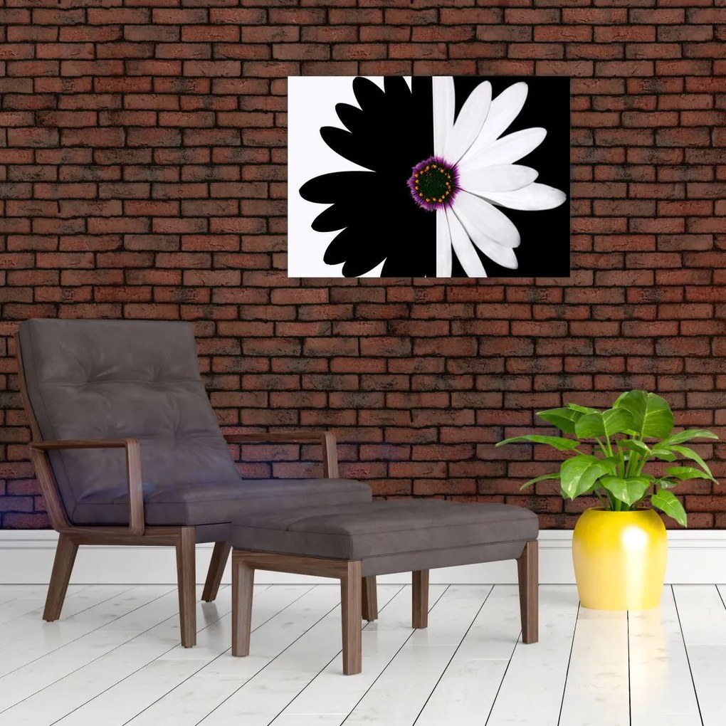 Egy fekete-fehér virág képe (üvegen) (70x50 cm)