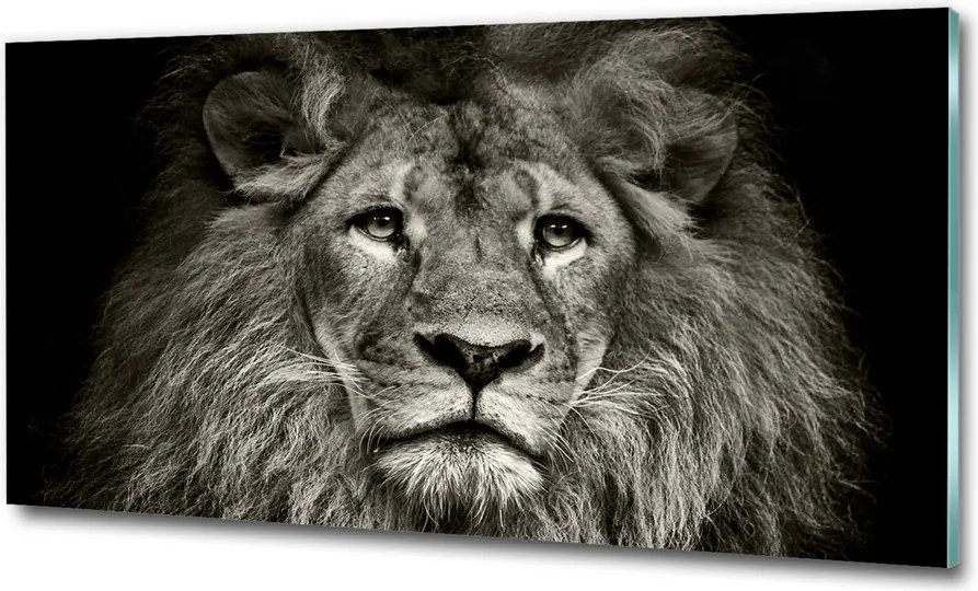 Fotó-kép fotó edzett üveg Oroszlán 100x70