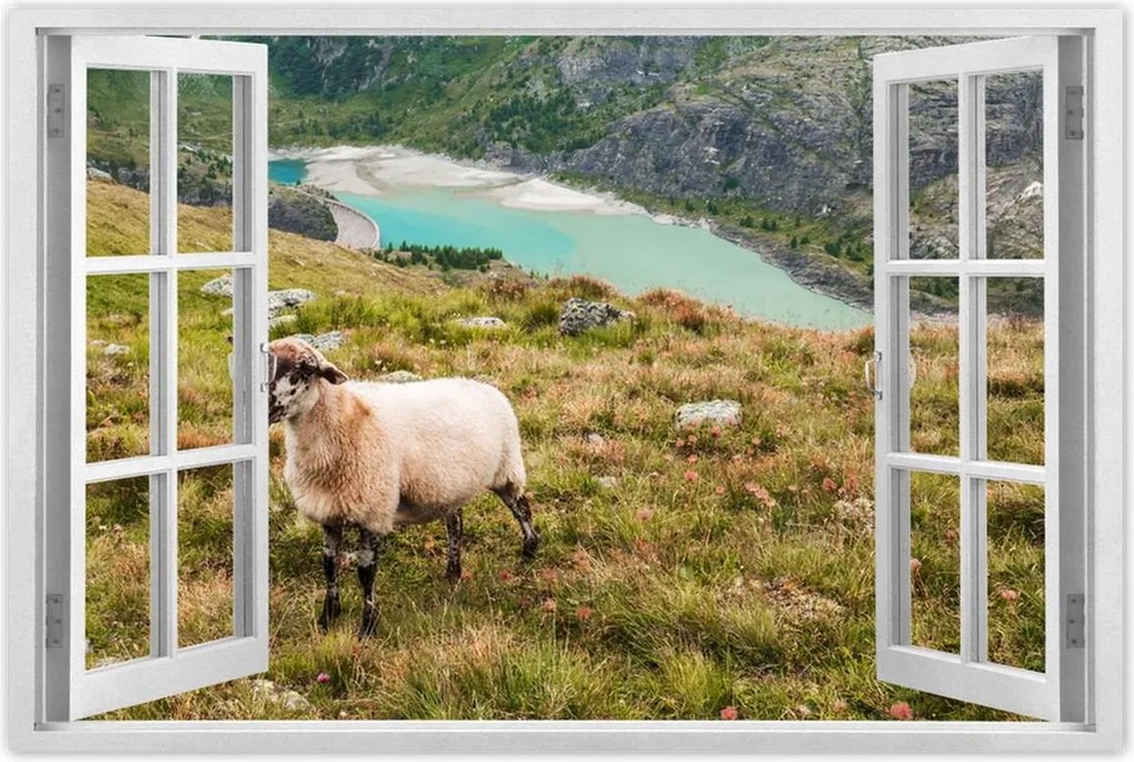 Poszterek 90x60 Juh legeltetés Bárányok Juhok