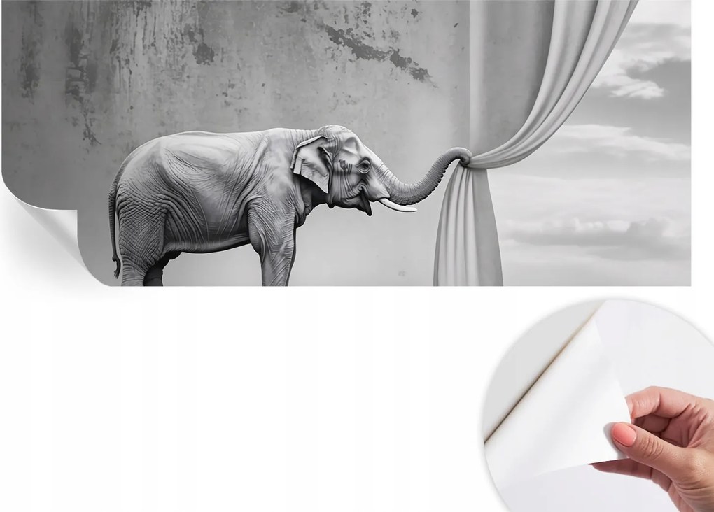 Dekoratív öntapadós tapéta Divatos minták Szürreális elefánt 250x104