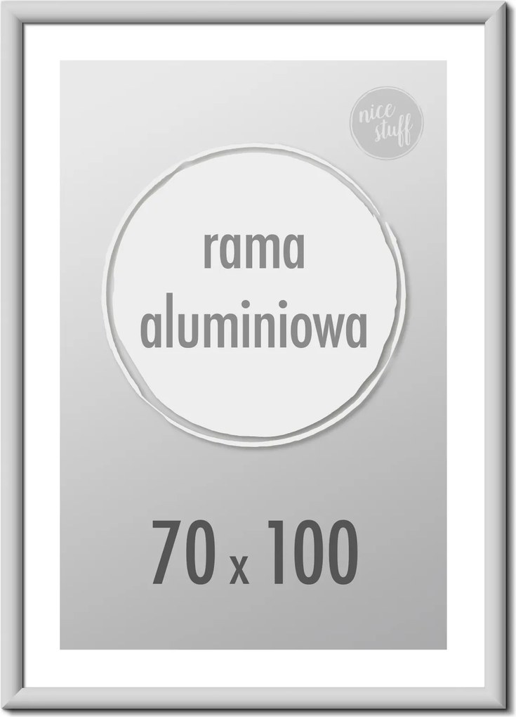 Képkeret 70X100 B1 Képkeret 70x100 Képkeret Alumínium Ezüst
