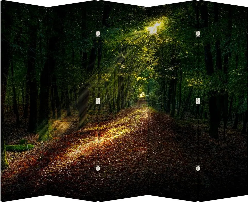 Paraván - Erdei út (210x170 cm)