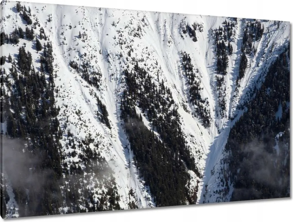 Festmények 120x80 Kanadai hegyoldalak