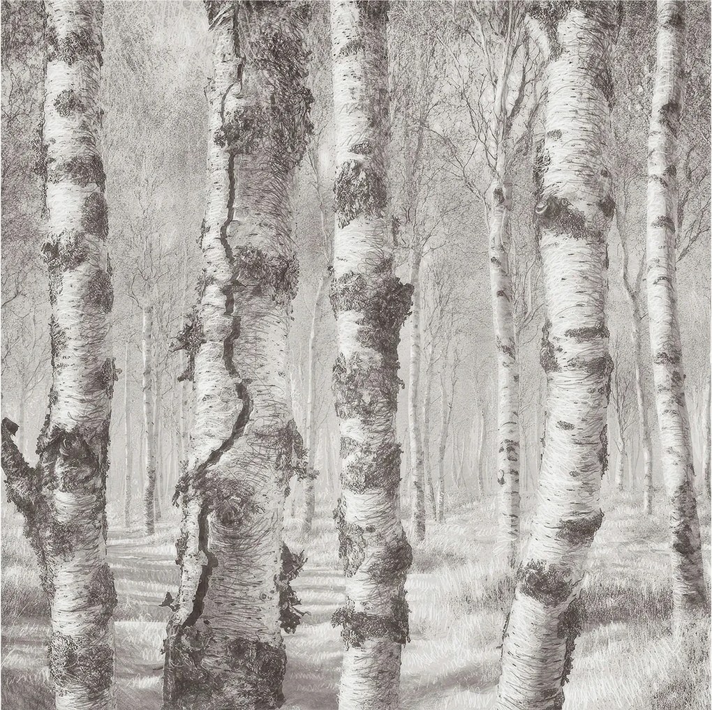 Fotótapéta Flizelina Nappali és Hálószoba Nyírerdő 250x250 Ragasztó