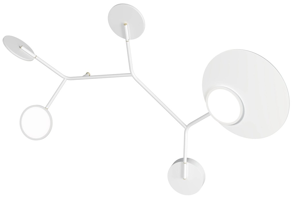 Ballon 5 B fali lámpa, többféle változatban - TUNTO Modell: fekete keret és burkolat, diófa rétegelt lemez panel