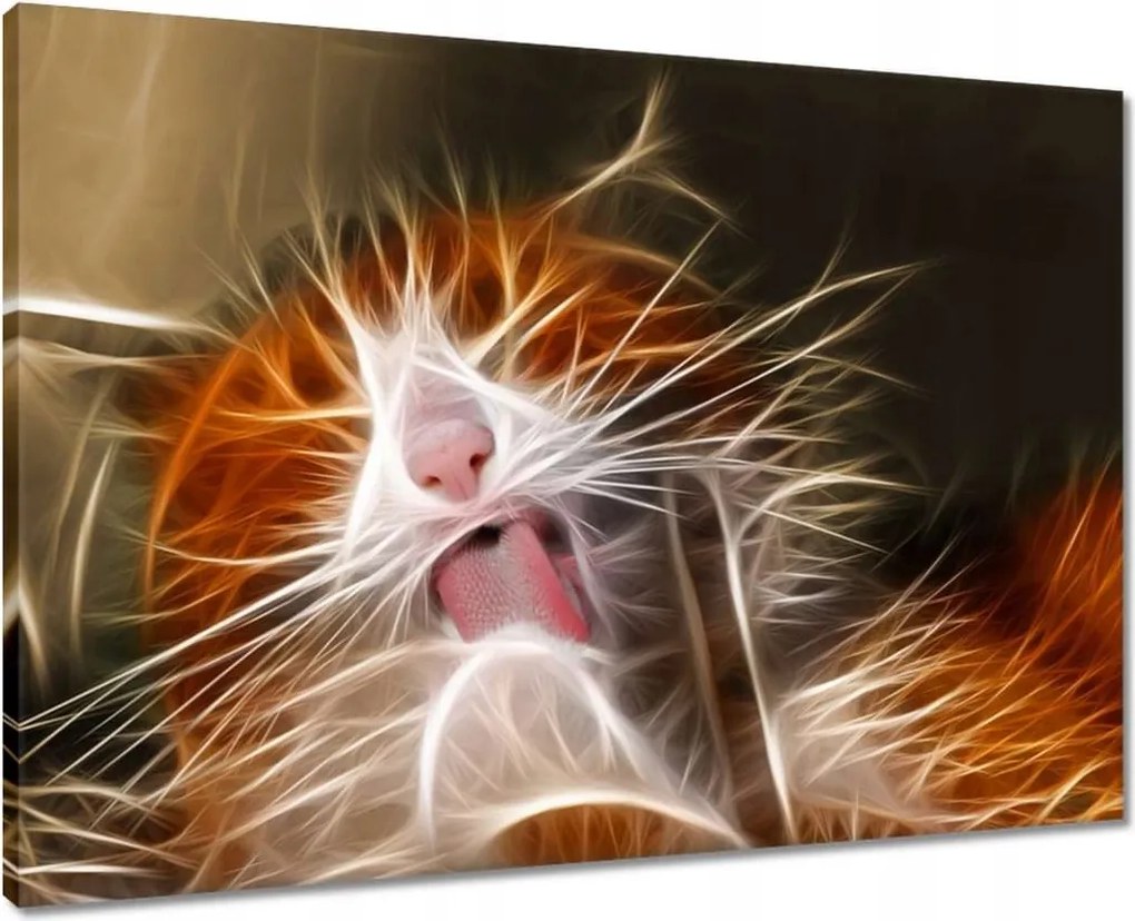 Vászonkép 70x50 Fraktál cica