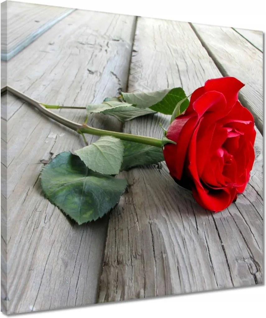 Vászonkép 40x40 Vörös rózsa a deszkákon