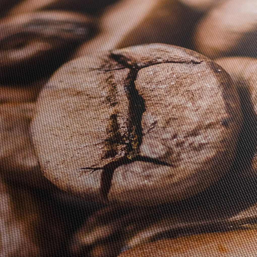 A kávébab képe (90x60 cm)