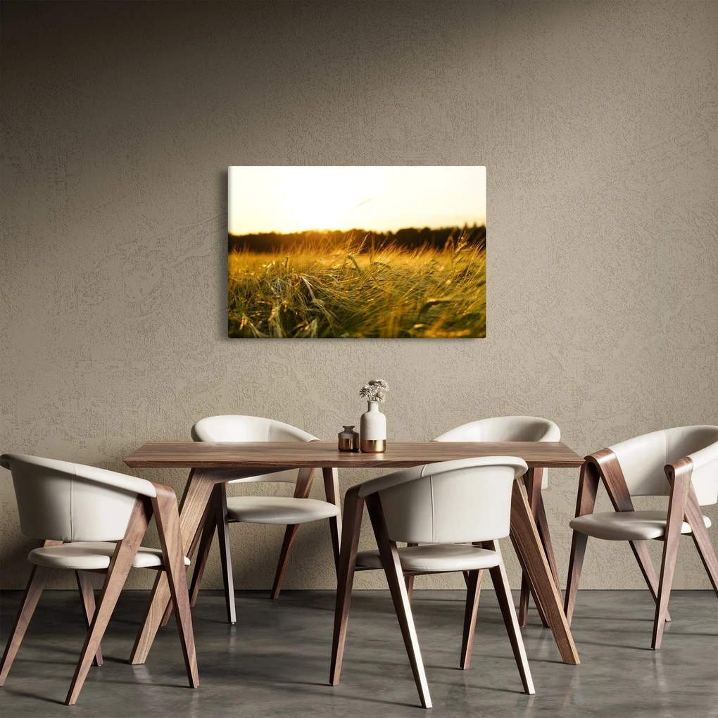 Harmatos fű képe (90x60 cm)