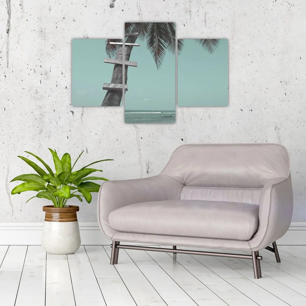 Kép - Palma a Karib-tengeren (90x60 cm)