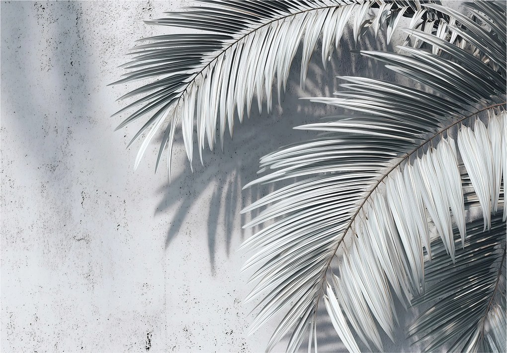 Fotótapéta Pálma Levelek Beton Hálószoba Nappali Tapéta Vlies 350x250