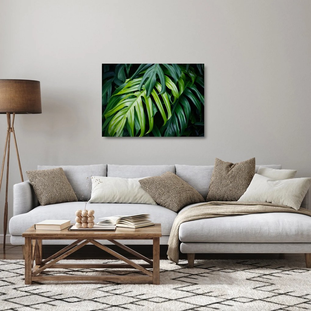 Kép - trópusi levelek (üvegen) (70x50 cm)