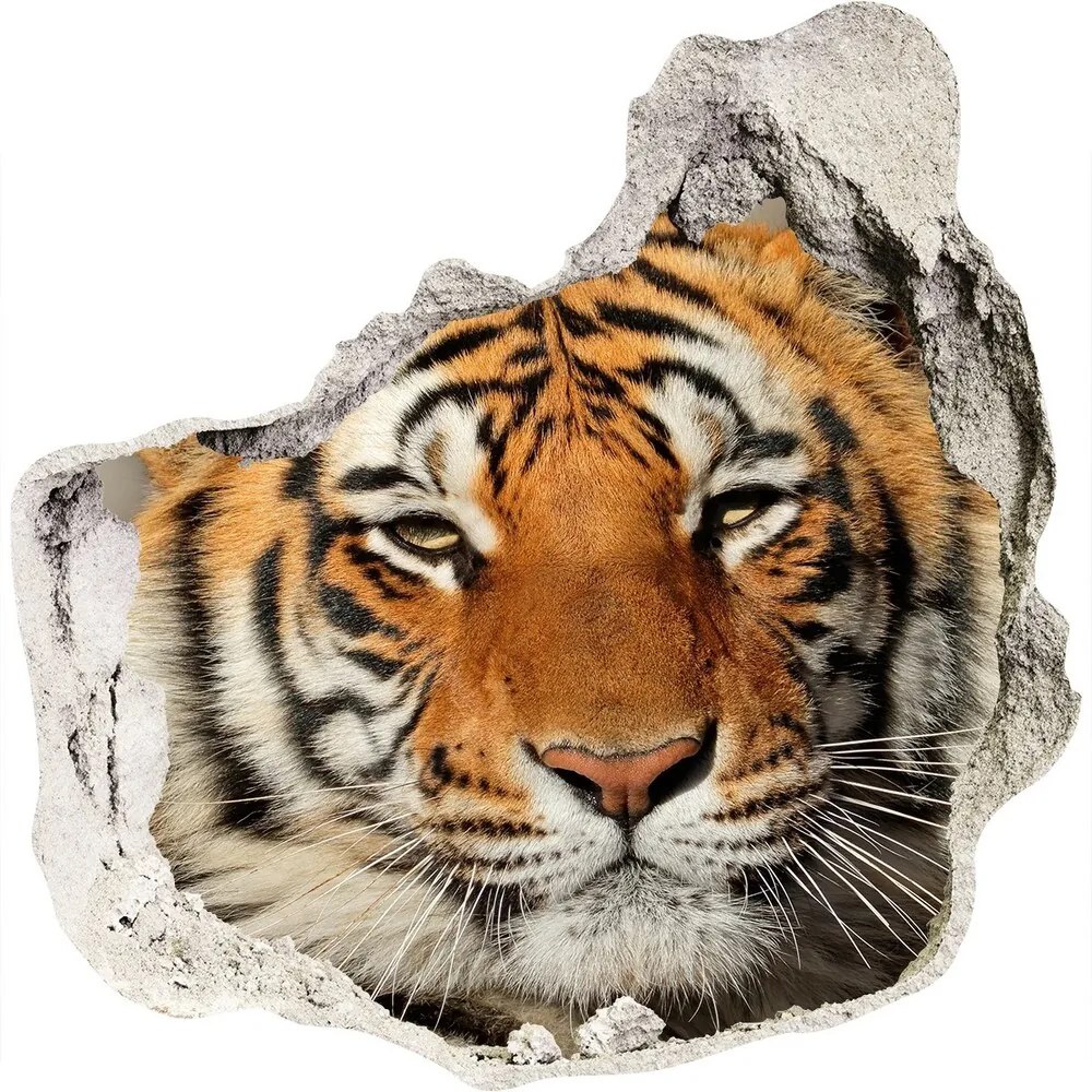 3d fali matrica lyuk a falban Bengáli tigris nd-p-88747131