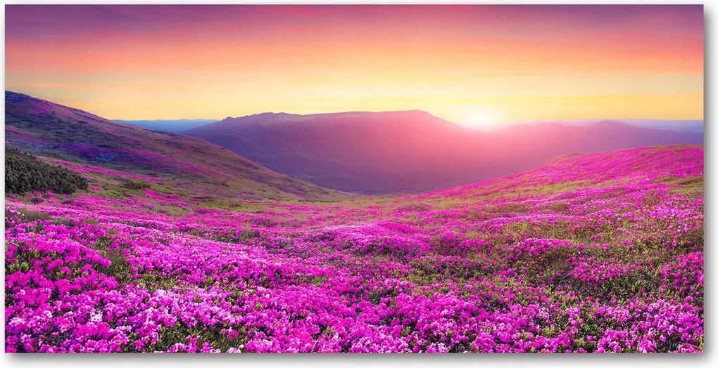 Fotó kép edzett üveg Rózsaszín dombok 140x70