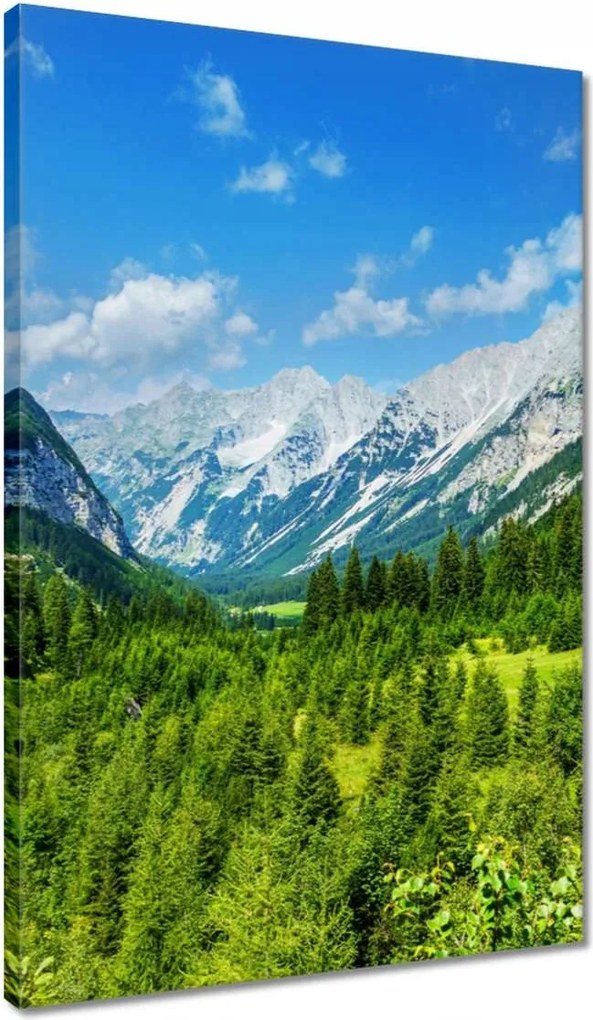 Vászonkép 40x60 Hegyi táj gyönyörű felhőkkel Fák a hegyekben