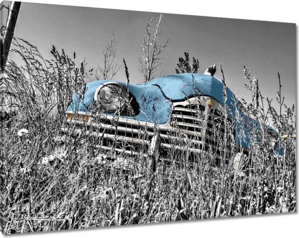 Vászonkép 100x70 Kék Öregember Műemlék