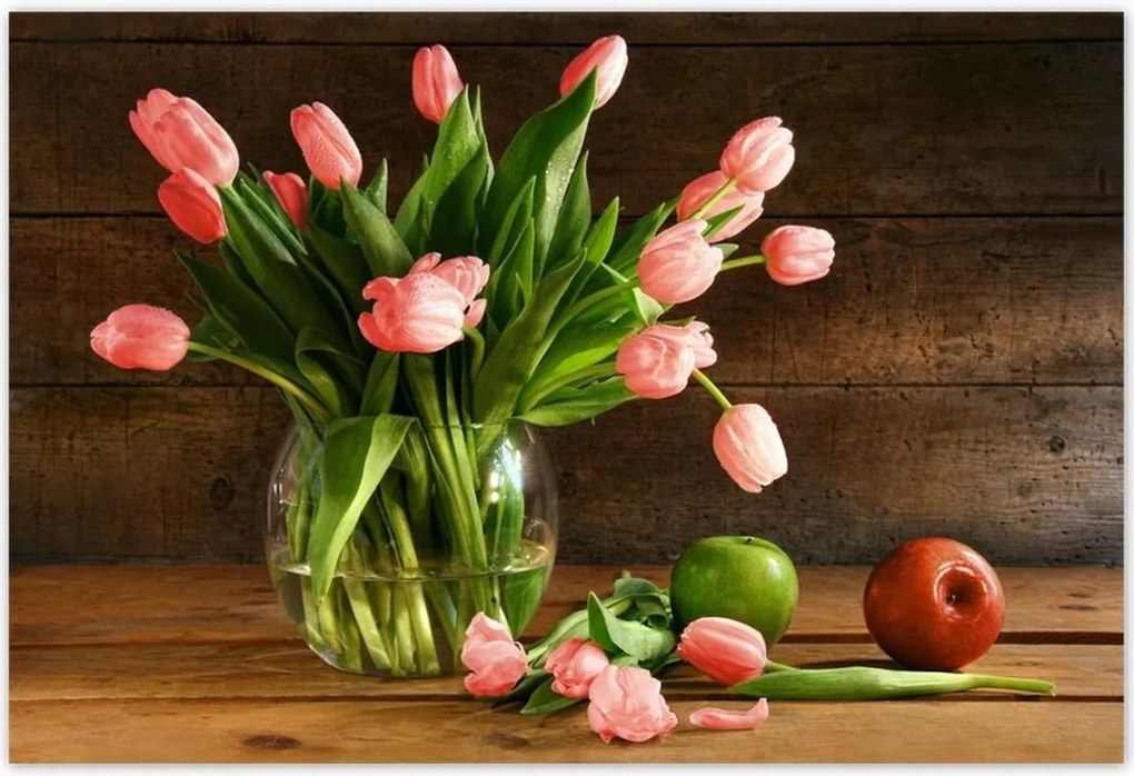 Poszterek 200x135 Piros tulipánok