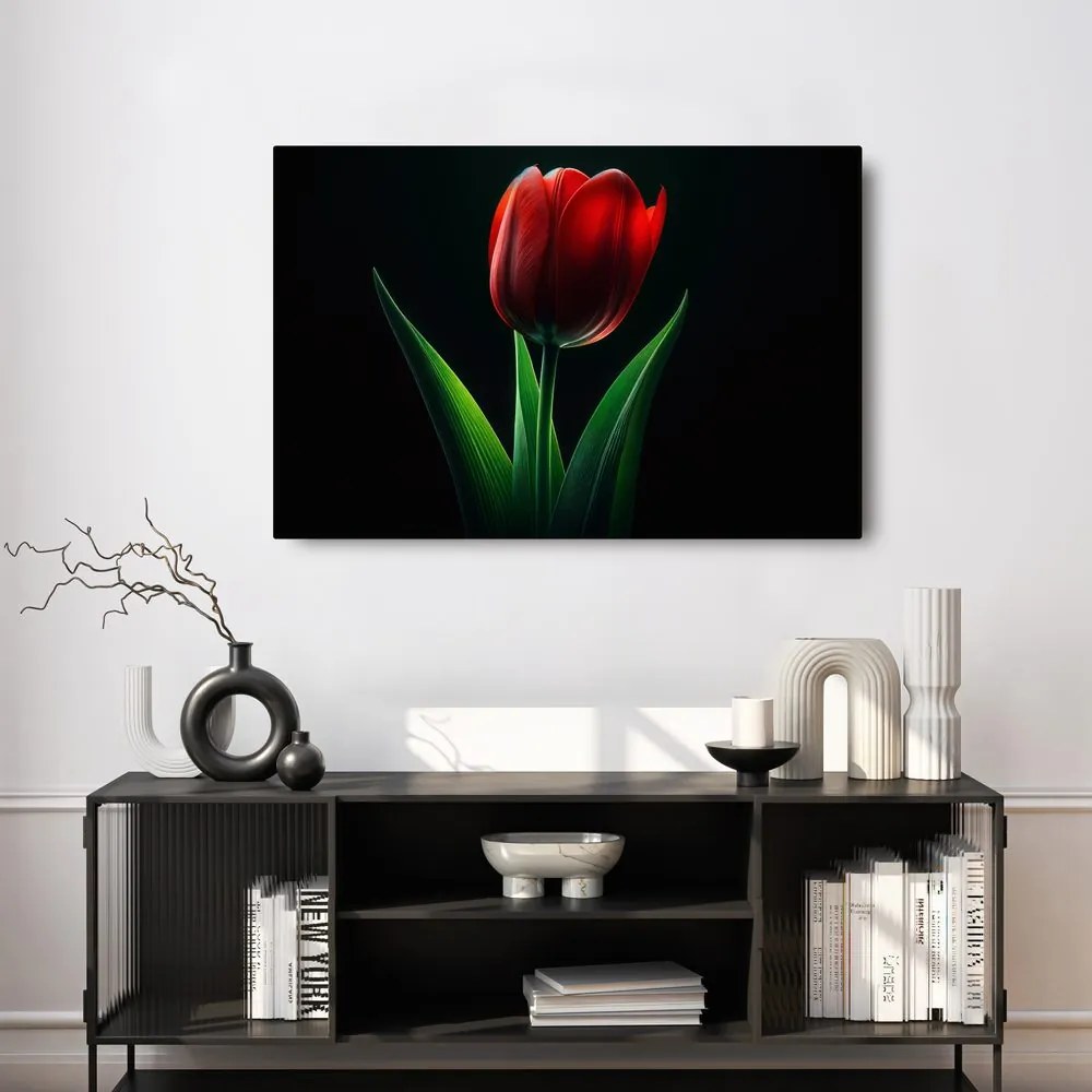 Kép vörös tulipán elegancia