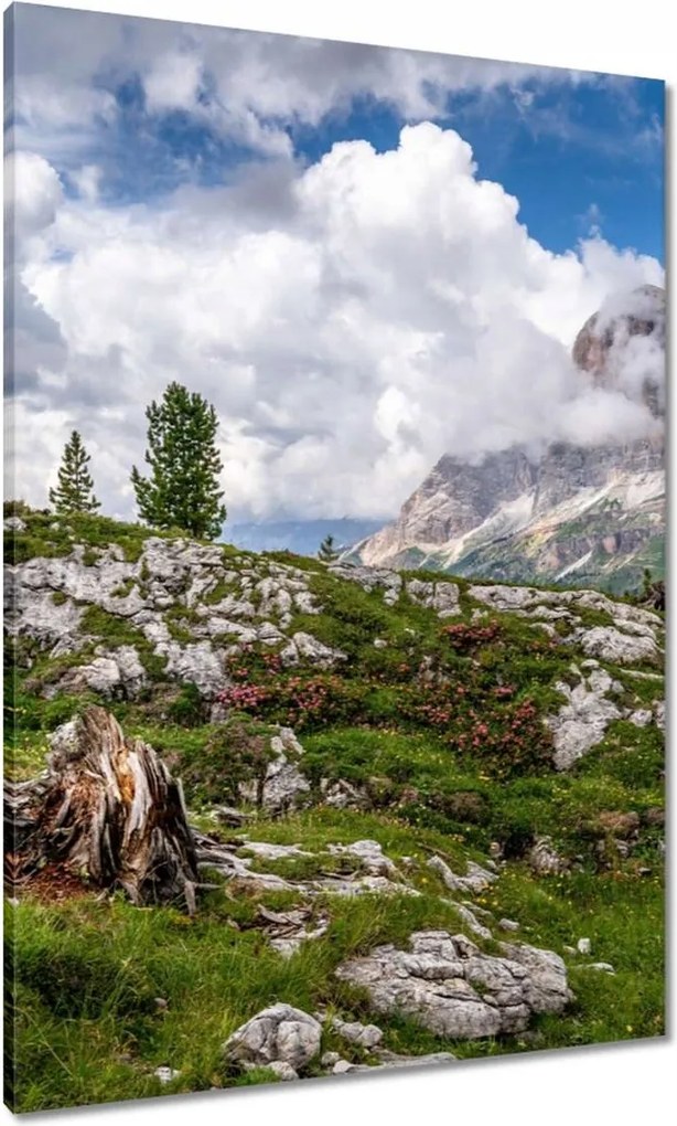 Vászonkép 70x100 Hegyi kilátás Tájkép