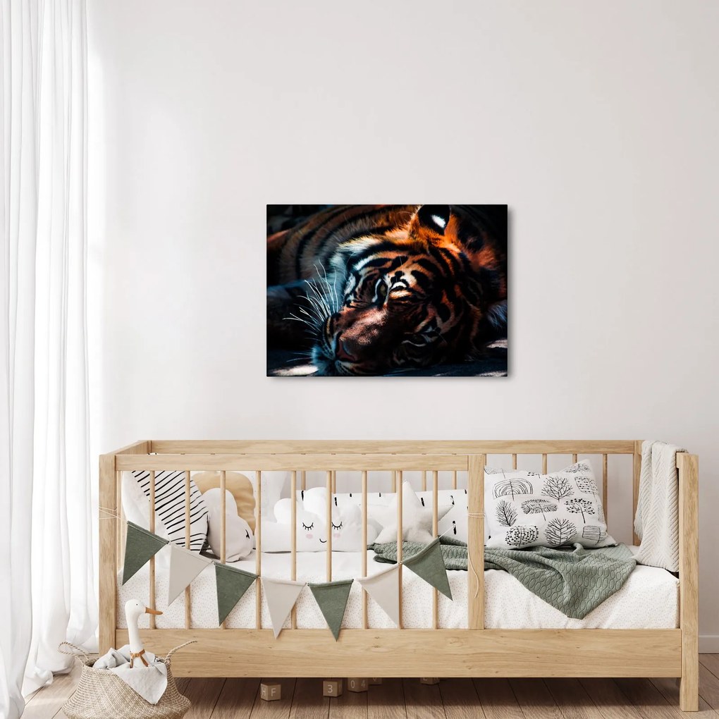 Egy fekvő tigris képe (70x50 cm)