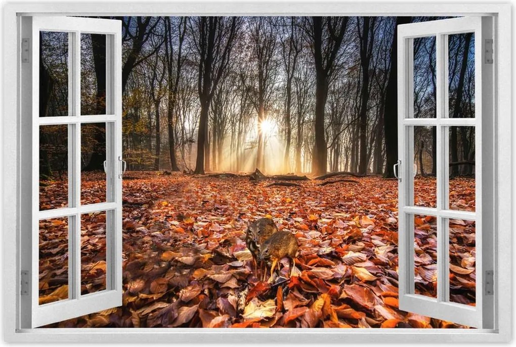 Poszterek 90x60 Kihalás fenyegeti