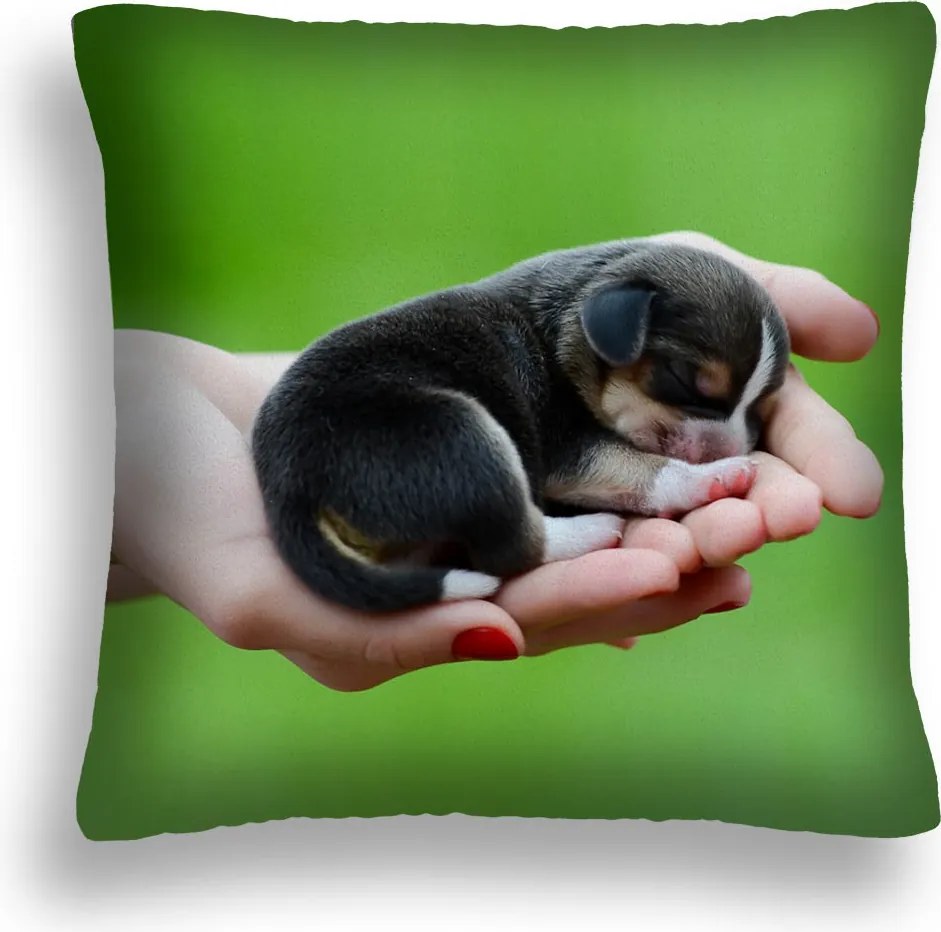 Kutya Párna 10 Db-os Kiskutya Kéz Zöld