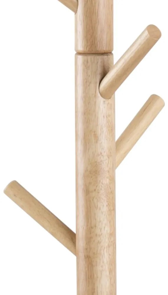 Braven fogas
