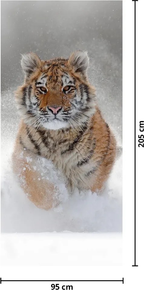 Fotótapéta ajtóra - Futó tigris a hóban (95x205cm)