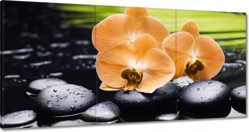 Vászonkép 120x60 Narancssárga orchideák