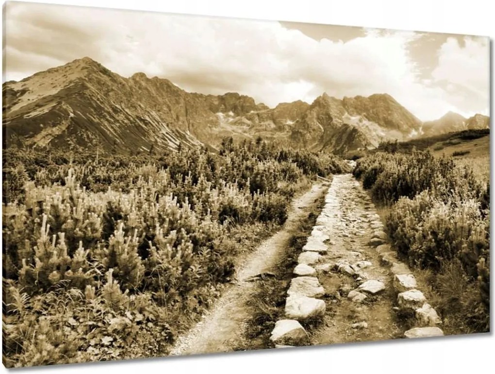 Képek 120x80 Tátra Lengyel hegyek Kilátás