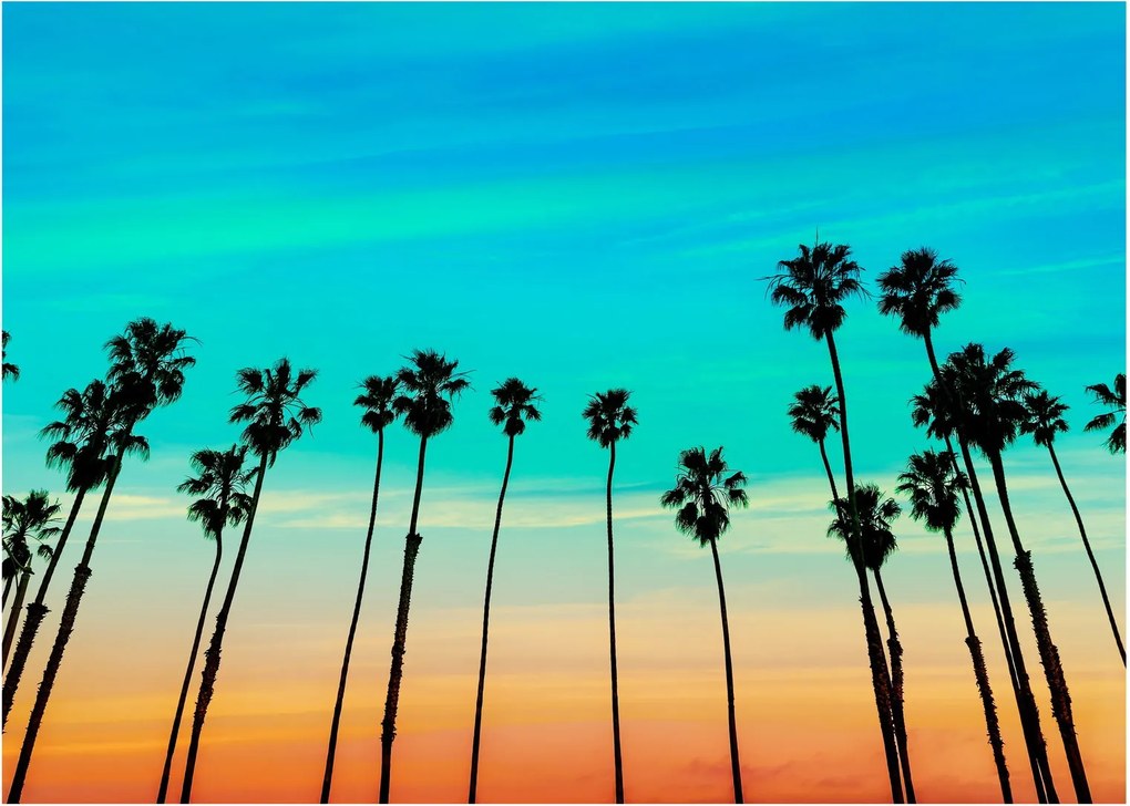 Kép - Kalifornia (70x50 cm)