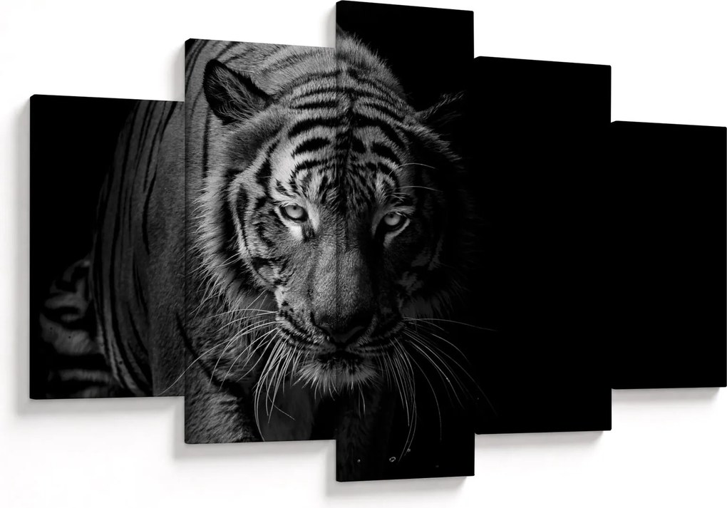 Egy vadtigris képe (150x105 cm)