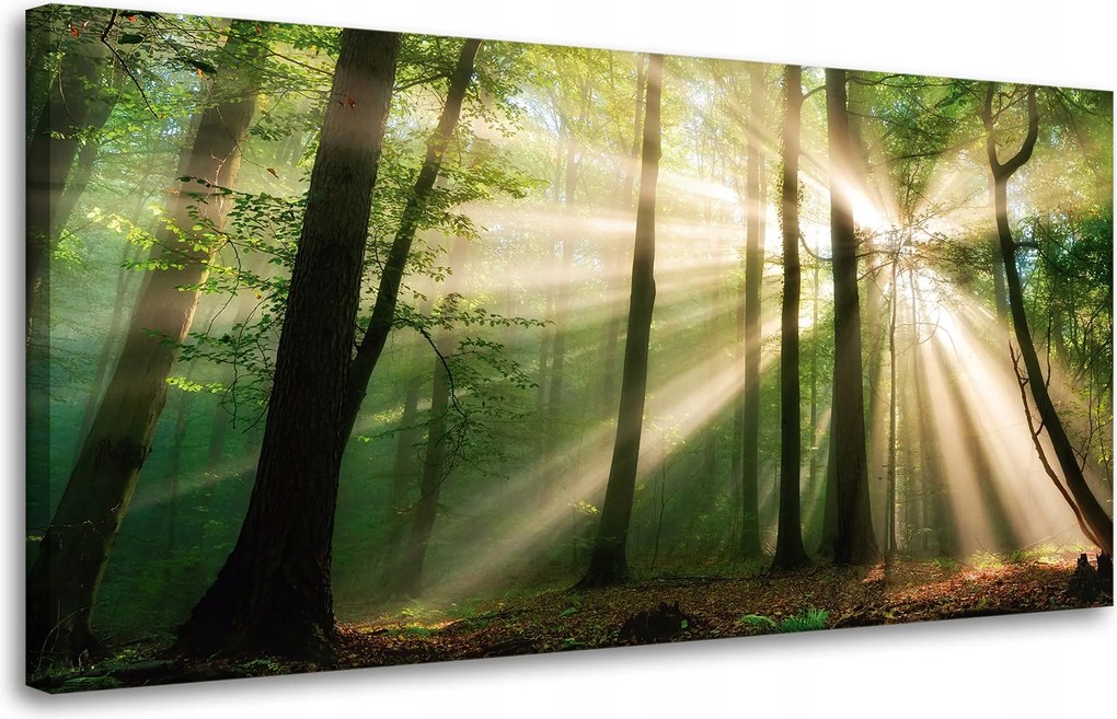 Vászonkép Nap az erdőben Fák Természet 80x40 cm Ajándéknak is tökéletes