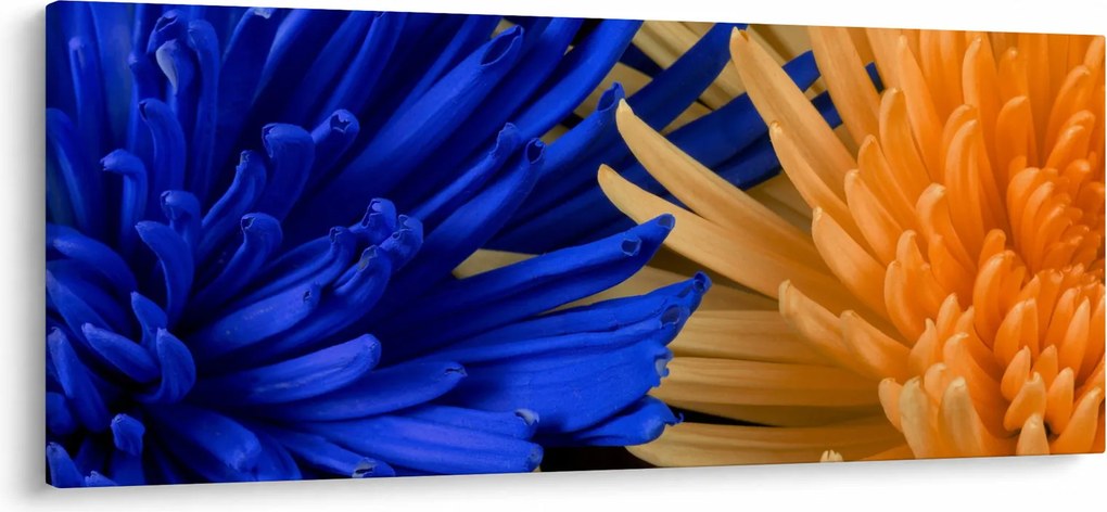 Részletes virágkép (120x50 cm)