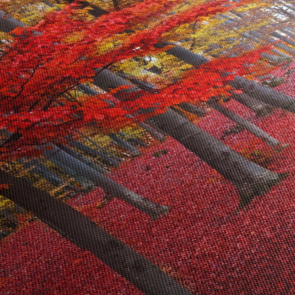 Kép - vörös erdő (150x105 cm)