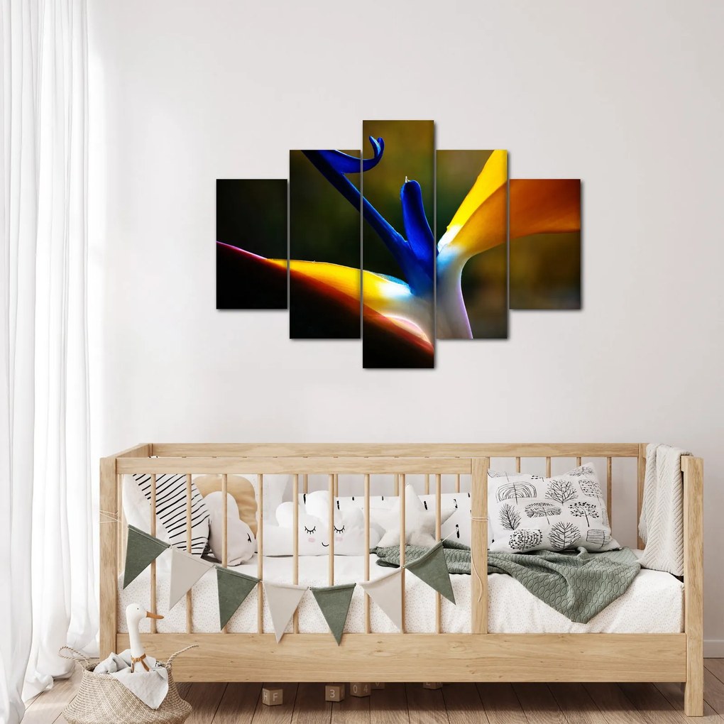 Kép - Egzotikus virág (150x105 cm)