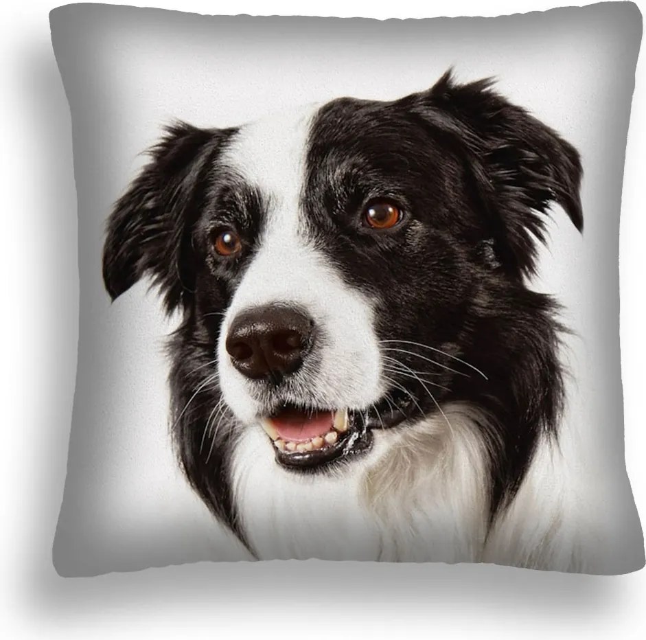 Nagy 50x50 Kutya Párna 12 Border Colie gyártó